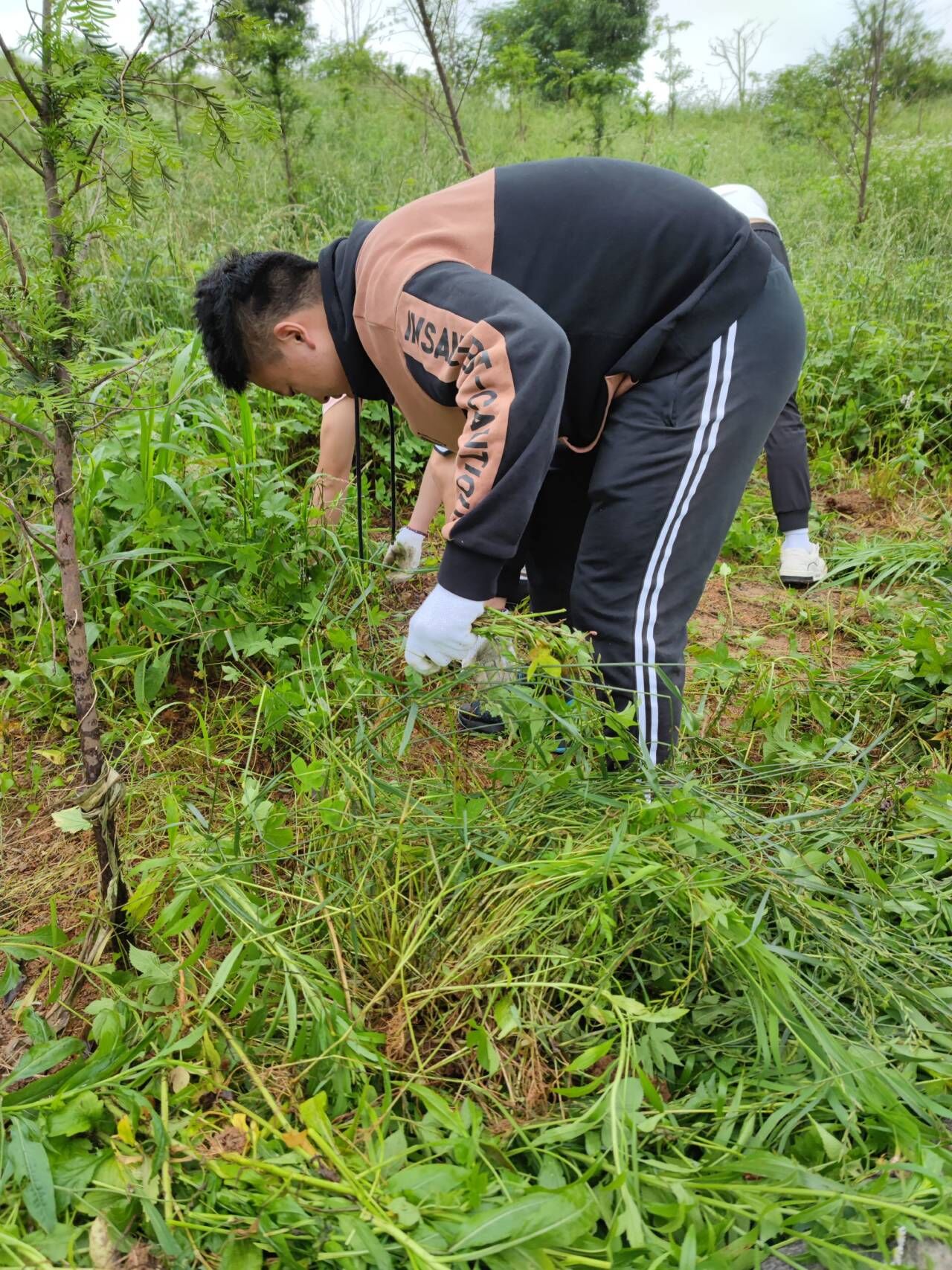 139ff3e2e50f403b99aec5c91b384a83.jpg QQ图片20210602221936.jpg