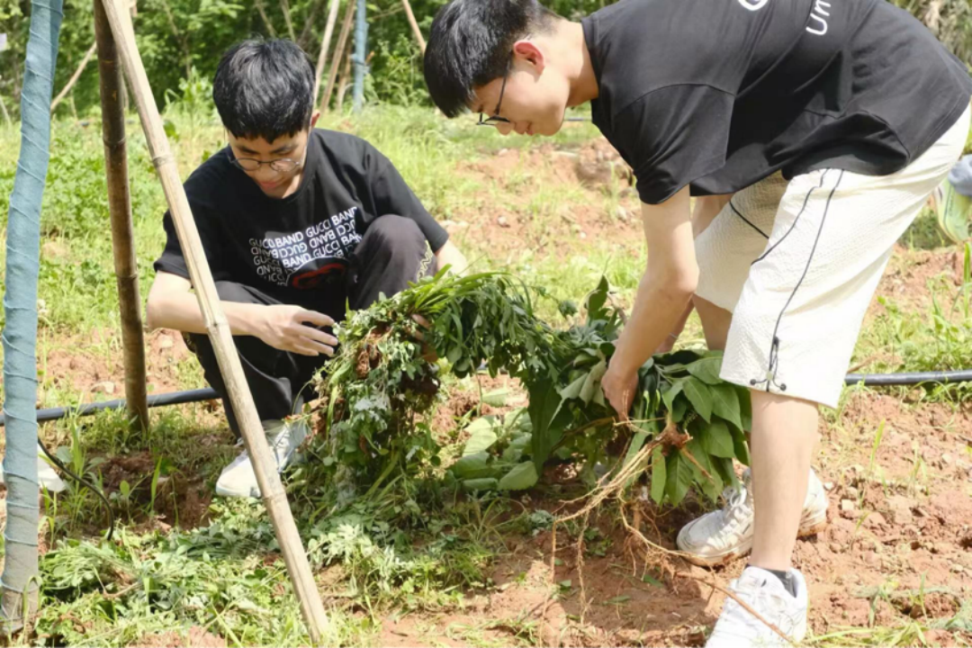 905777690e7e414ab20dcfdc811e213f.gif 905777690e7e414ab20dcfdc811e213f.gif